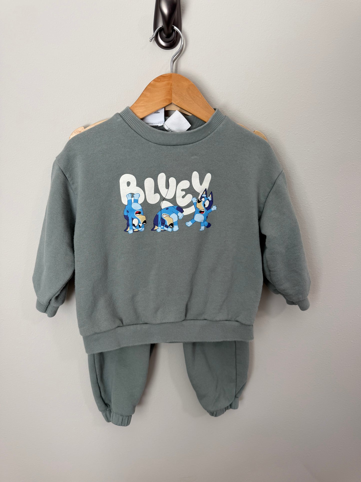 Zara Bluey Set