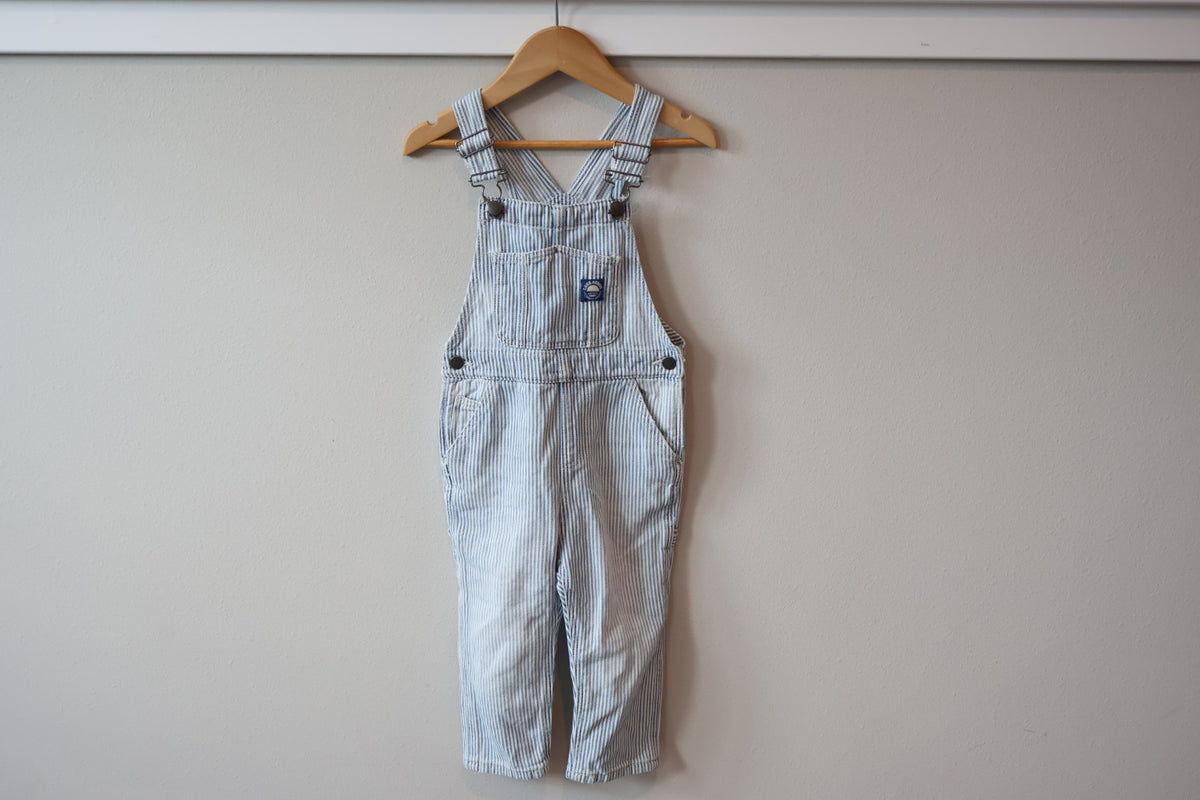 Zara Overalls