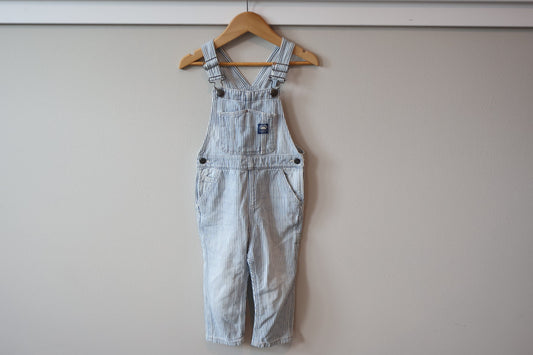 Zara Overalls