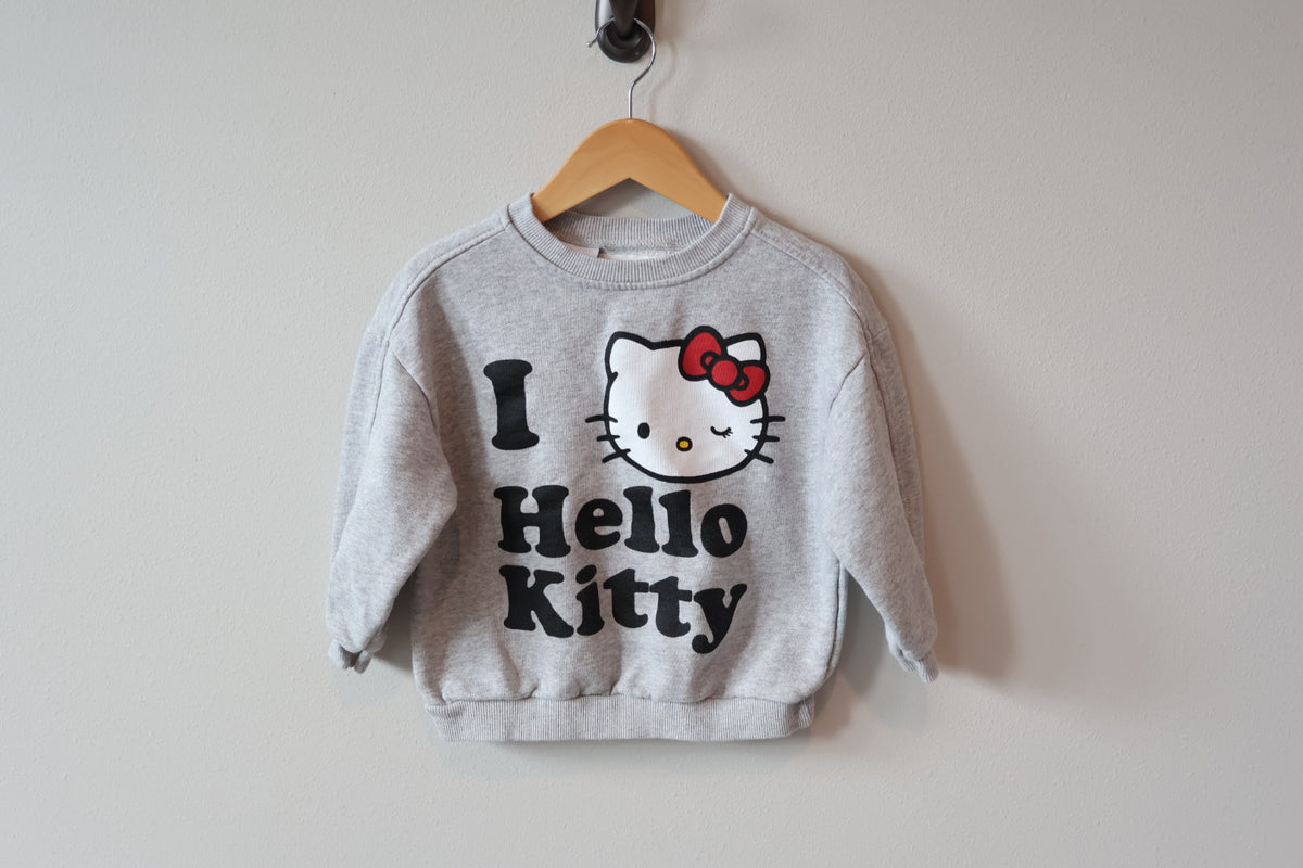 ZARA Sweatshirt
